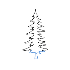 Think this tree is too basic or easy?? How To Draw A Pine Tree Step By Step Easy Drawing Guides Drawing Howtos