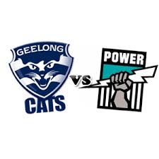 Port adelaide power vs geelong cats, gerard healy, rebuild, chris scott, word no one wants to hear, reaction george soros the 'quintessential boogeyman' of the political right: One Thrashing One Close Bigfooty