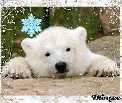 Share the best gifs now >>>. Most Favorited Gifs Gif Abyss Page 8586