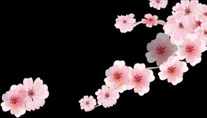 Download Cherry Blossom Cartoon Romantic Sakura Japanese Cartoon Cherry Blossom Png Image With No Background Pngkey Com Search for cartoon cherry blossom pictures, lovepik.com offers 309590 all free stock images, which updates 100 free pictures daily to make your work professional and easy. cherry blossom png image with no