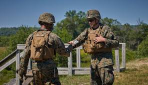 Image result for Colonel PR-24A