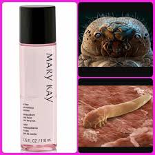 Eye Mites Mary Kay Oil Free Eye Makeup Remover Kills Mites Mary Kay Eyes Mary Kay Eye Makeup Eye Makeup Remover