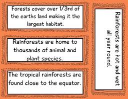 Animals In The Rainforest Habitat Anchor Chart