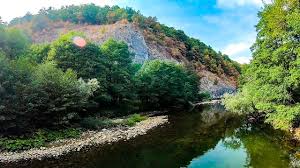In categoria imobiliare pentru orasul bihor. Suncuius 2019 Youtube