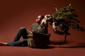 The Beautiful, Brutal World of Bonsai | The New Yorker