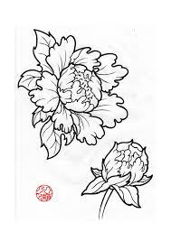 Voir plus d'idées sur le thème aquarelle japonaise, dessin, peinture dessin. Epingle Par Briket Sofi Sur Flowers Illustration Dessin Pivoine Tatouage Fleur Japonaise Dessin Fleur