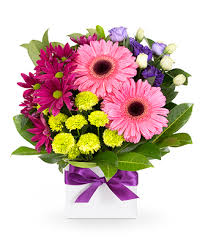 Check spelling or type a new query. Flowers From 39 Easyflowers Australia Send Flowers Online Australia Wide With Australia S Favourite Online Florist