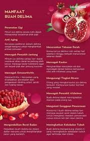 Delima adalah buah lezat dan eksotis yang kerap dipuji karena manfaatnya untuk kesehatan. Buah Delima Khasiatnya Rossa Beauty Store Facebook