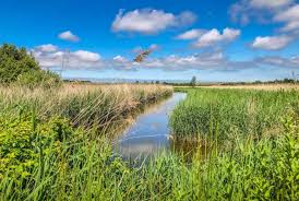 Sally Laker, Author at BaldHiker