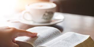 Scott hahn online bible study courses and they are free. 4 Of The Best Catholic Bible Studies To Do At Home This Summer
