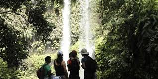 We did not find results for: 25 Tempat Wisata Di Lombok Yang Wajib Dikunjungi Selain 3 Gili Halaman All Kompas Com