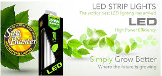 Sunblaster t5 nano propagation grow light 45cm 17w 6400k. Our Products Sunblaster Lighting