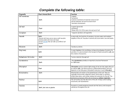 The most common types of animal cells are: Endoplasmic Reticulum Ppt Download