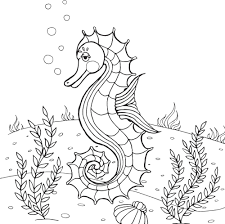 Seahorse coloring page, magical animal, animal art, coloring page, printable, coloring pages for adults, coloring pages for kids. Free Seahorse Coloring Pages For Download Pdf Verbnow