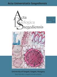 Image result for Trilepisium madagascariense