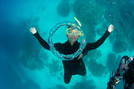 Ted Bryan Yu (@wanderingteddybear)