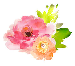Thj Free Watercolor Flowers Fptfy B Png 1806 1590 Watercolor Flowers Paintings Watercolor Flowers Free Watercolor Flowers