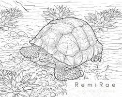 With a full range of coloring pictures for children to freely explore the interesting things of the world of coloring pictures. Turtle Coloring Page Etsy