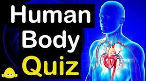 No matter how simple the math problem is, just seeing numbers and equations could send many people running for the hills. 50 Fun Facts About The Human Body Unbelievable Quiz Beez