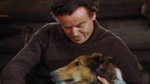 Сын лесси (1945)