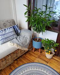 In einem gästezimmer, einem schlafzimmer oder einem kleineres wohnzimmer wirst du den dir zur verfügung stehenden platz bestmöglich ausnutzen wollen. Rattan Sofas Ideen Rund Um Das Naturmaterial