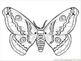 You can print or color them online at getdrawings.com for absolutely free. Coloring Page Coloring Pages Of Moths