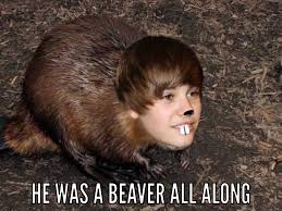 Justin Beiber Was A Beaver All Along Beaver Selena Gomez Pictures Justin Bieber