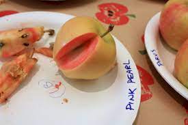 The pink pearl apple originated in california in 1944. Pink Pearl Apple Wikipedia