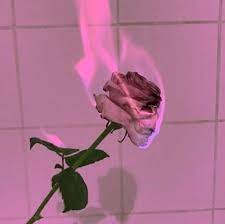 Aesthetic styles are divided into many subcultures. 28 Best Ideas 90s Aesthetic Wallpaper Vintage Pink Pastel Pink Aesthetic Aesthetic Backgrounds Pink Aesthetic