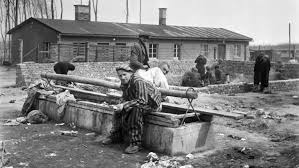 השואה hashoah) and the porrajmos in romani, is the name applied to the systematic persecution and genocide of the jews, other minority groups, those considered enemies of the state and also the disabled and mentally ill of europe and north africa. Most Germans Knew Holocaust Was Happening New Film Claims Ctv News