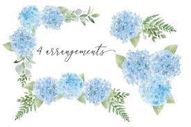 Blue Hydrangea Floral Watercolor Clip Art Including Etsy In 2021 Watercolor Hydrangea Floral Watercolor Hydrangeas Art