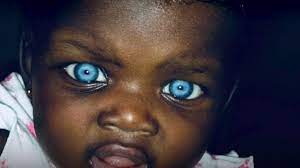 Possess the darkest skin outside of africa. Blue Eyed Pikin Dem Turn Photo Models Against Claims Dem Be Cursed Bbc News Pidgin