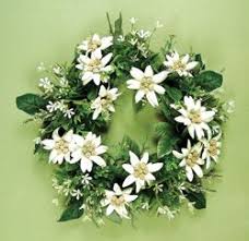 Edelweiss Flower Wreath Edelweiss Flower Flower Wreath Beautiful Flowers
