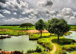 Plan your next trip here. A Very Beautiful Village Of Bangladesh For Pinterest Campaign Www Pinific Com Natural Beauty Village Photos Beautiful Villages