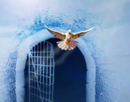 مقال عن الحرية - بيوتي