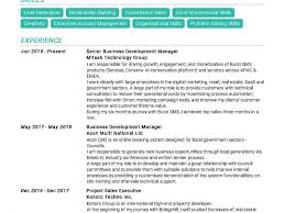 The business contribution to international development. Senior Business Development Manager Resume Example In Year 2020