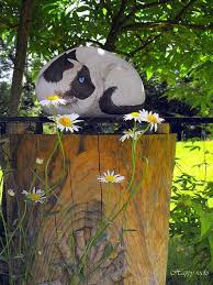Chat Siamois Peinture Decorative Art De Galets Image Peinture