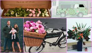 Written by syd barrett, it is sung mostly by richard wright with barrett joining in on choruses and singing the whole last verse. Enjoy Mill Valley Blog Enjoy Mill Valley