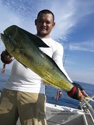 We did not find results for: Dorado Talk About Fish
