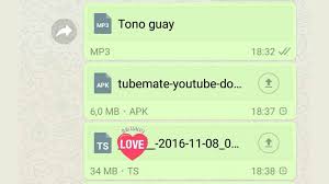 Whatsapp Starts Allowing Sharing Of All File Types On Android Iphone Windows Phone Reports Htccms I tried on my android device and also it functioned nevertheless, there are concerns concerning it.