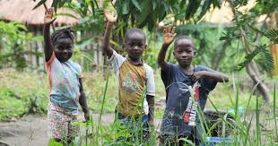 Who to declare sierra leone free of disease. Who Ebola Response What Needs To Happen In 2015