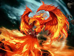Phoenix bird photos phoenix wallpaper phoenix artwork phoenix tattoo. Hd Phoenix Wallpapers Top Free Hd Phoenix Backgrounds Wallpaperaccess
