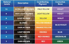 Color Correcting Toner Chart In 2019 Hair Color Wheel