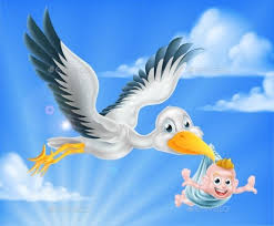 Birds Flying In The Sky Cartoon Cartoon Stork Bird Animal Character Flying Through The Sky Holding A Newborn Baby Classic Myth Of Stork Bird Delivering A Ne Stork Cartoon Drawings Baby Stork