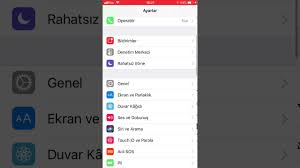 Ios 11 De Tam Ekran Kaydi Yapma Youtube