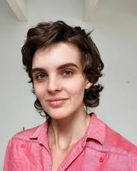 Da Vinci Fellows — DVAA