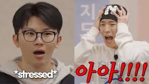 SEVENTEEN Hoshi (호시)