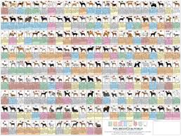 horse map dog poster