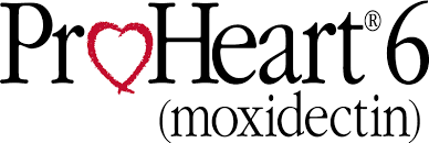 proheart 6 moxidectin 6 month heartworm disease prevention