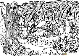 Coloring pages for jungle book are available below. Jungle Coloring For Adults And Kids Kiddycharts Coloring